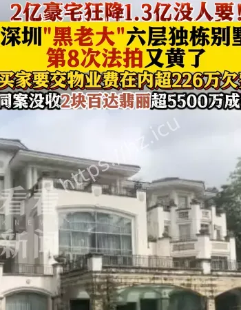 黑老大别墅降价